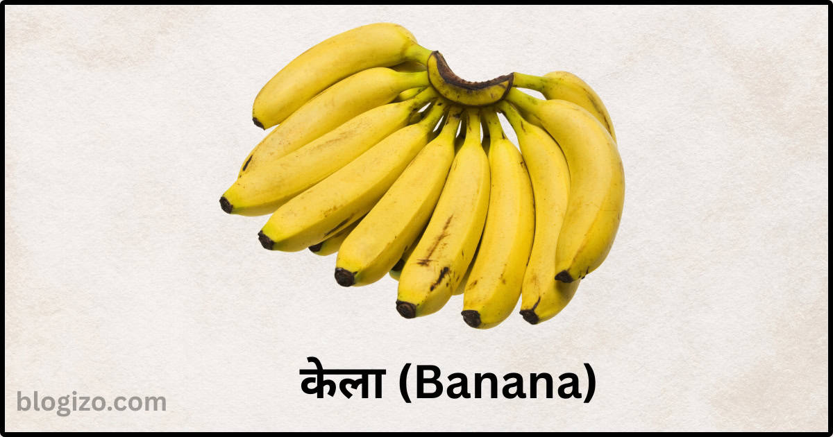 10 Best Prebiotic Foods to Improve Gut Health